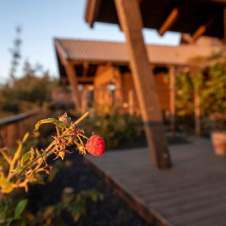 Gilad Cabins Odem Exterior photo